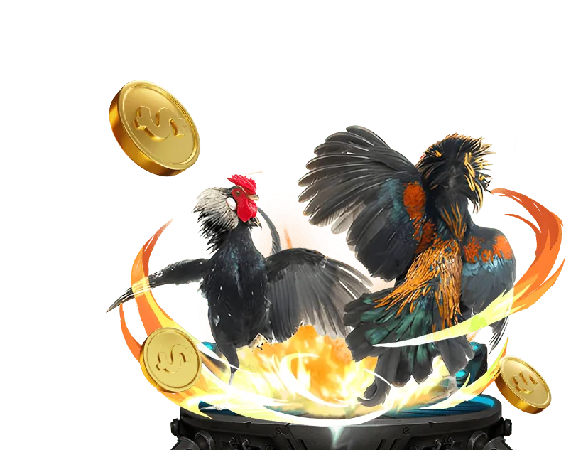 Lịch sử và Văn hóa Đá Gà